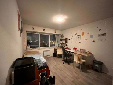 Appartement 1 pièce – 20 m² environ