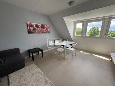Appartement 1 pièce – 36 m² environ