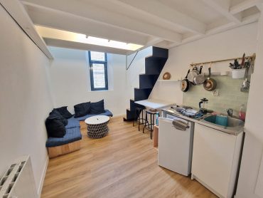 Appartement 1 pièce – 17 m² environ
