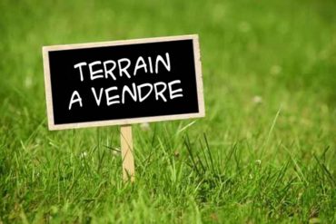Terrain