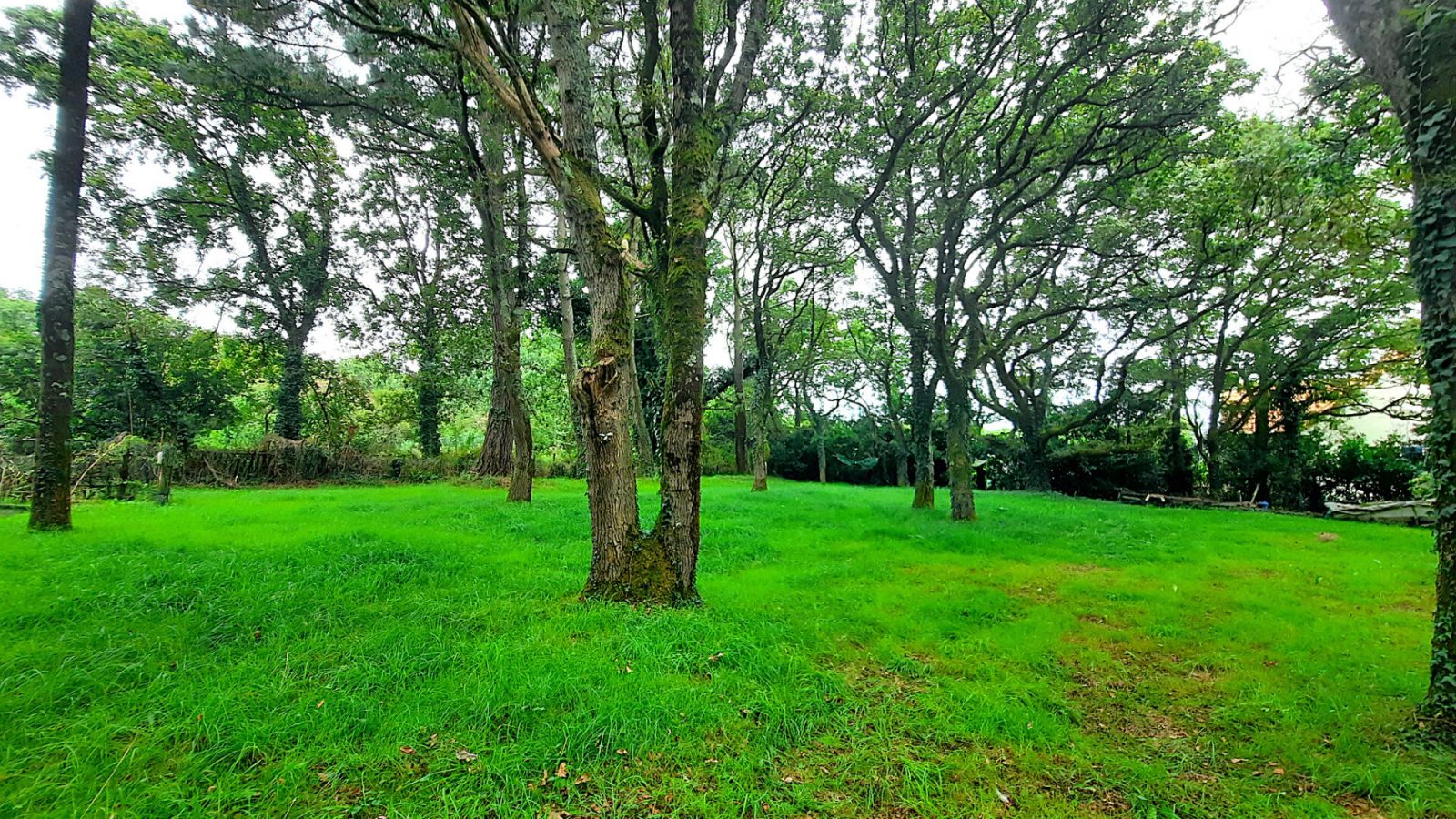 Maison 3 pièces - 60 m² environ - 54551745g.jpg | Kermarrec Habitation