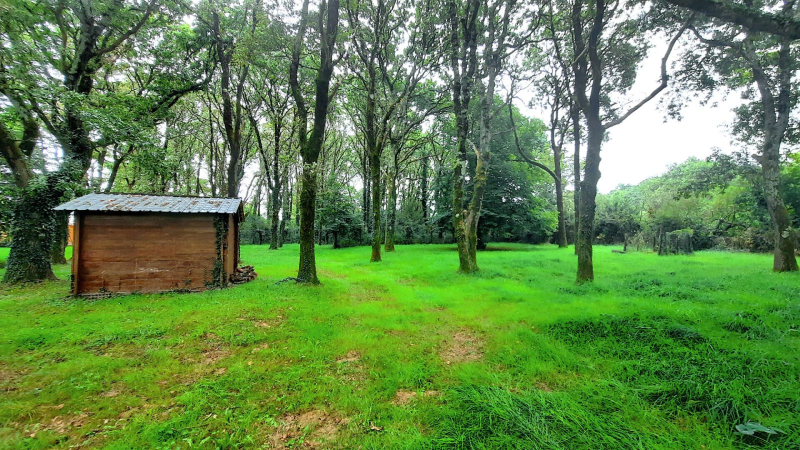 Maison 3 pièces - 60 m² environ - 54551745i.jpg | Kermarrec Habitation