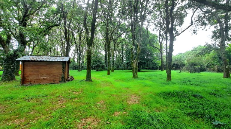 Maison 3 pièces - 60 m² environ - 54551745i.jpg | Kermarrec Habitation