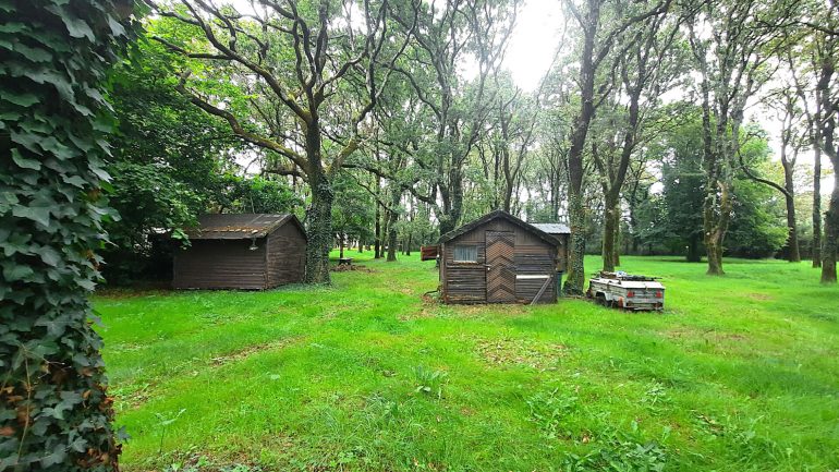 Maison 3 pièces - 60 m² environ - 54551745j.jpg | Kermarrec Habitation