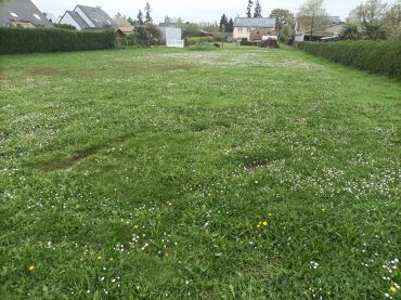 Achat Terrain Pléchâtel 626 m² environ ref : 55224430 | Kermarrec Habitation — 6
