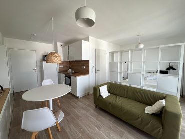 Appartement 1 pièce – 29 m² environ