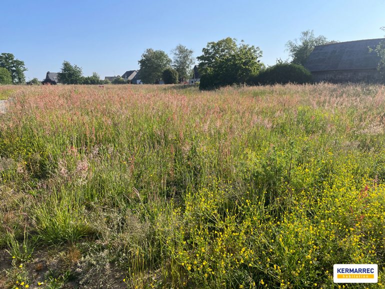 Terrain - 653 m² environ - 55365913d.jpg | Kermarrec Habitation