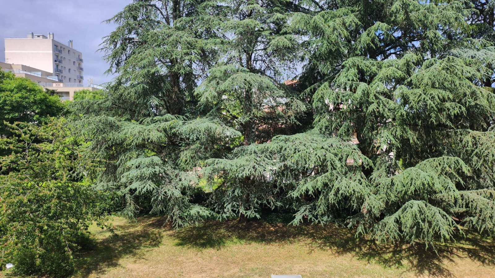 Appartement 3 pièces - 58 m² environ - 55572556l.jpg | Kermarrec Habitation