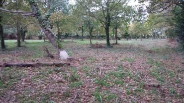 Terrain – 2140 m² environ