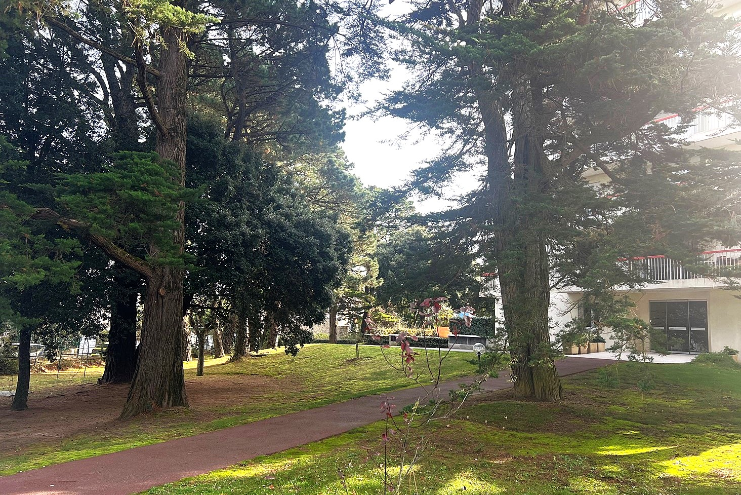 Appartement 2 pièces - 37 m² environ - 58398337j.jpg | Kermarrec Habitation