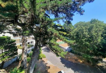 Appartement 2 pièces – 50 m² environ
