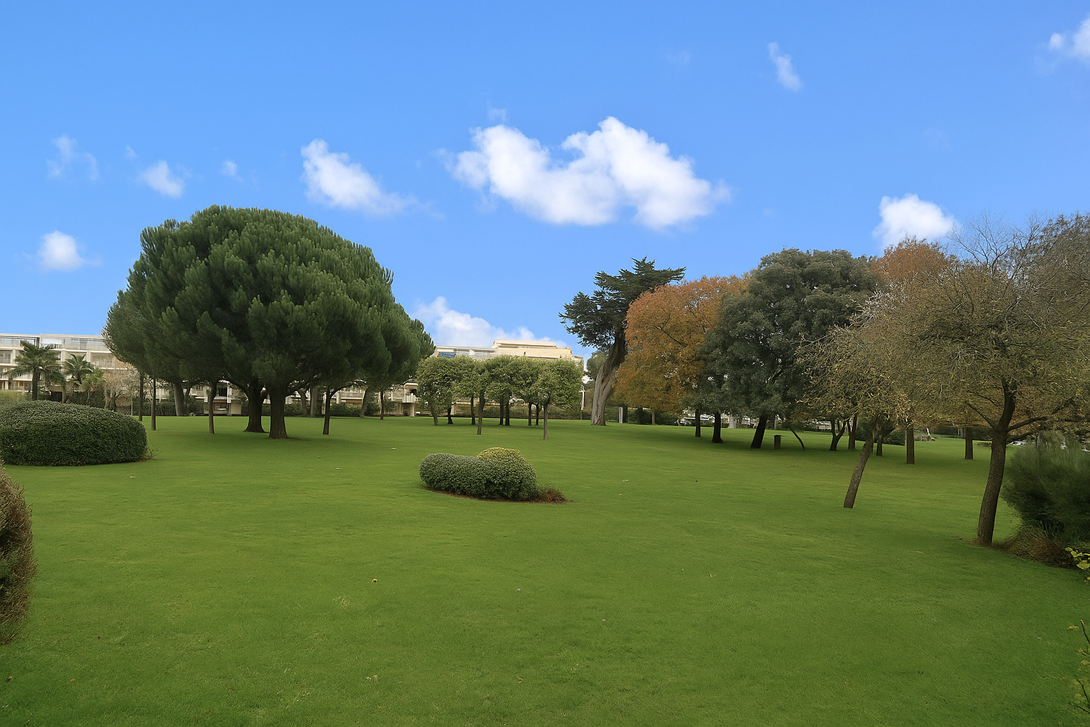 Appartement 3 pièces - 49 m² environ - 59484802n.jpg | Kermarrec Habitation