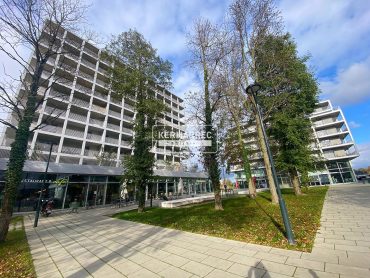 Appartement 2 pièces – 42 m² environ