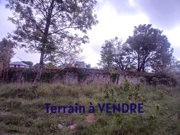 Terrain – 435 m² environ