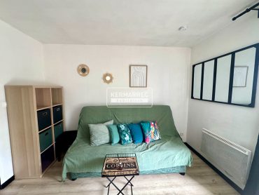 Appartement 1 pièce – 21 m² environ